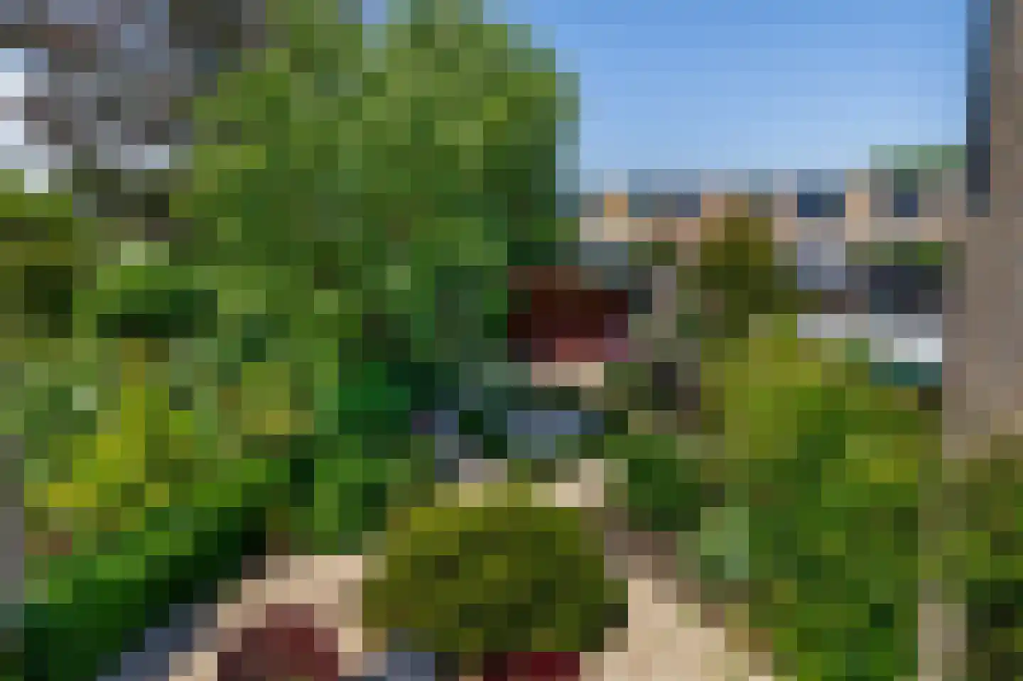 Jan Tooropstraat 73 Oud-Beijerland thumbnail 42