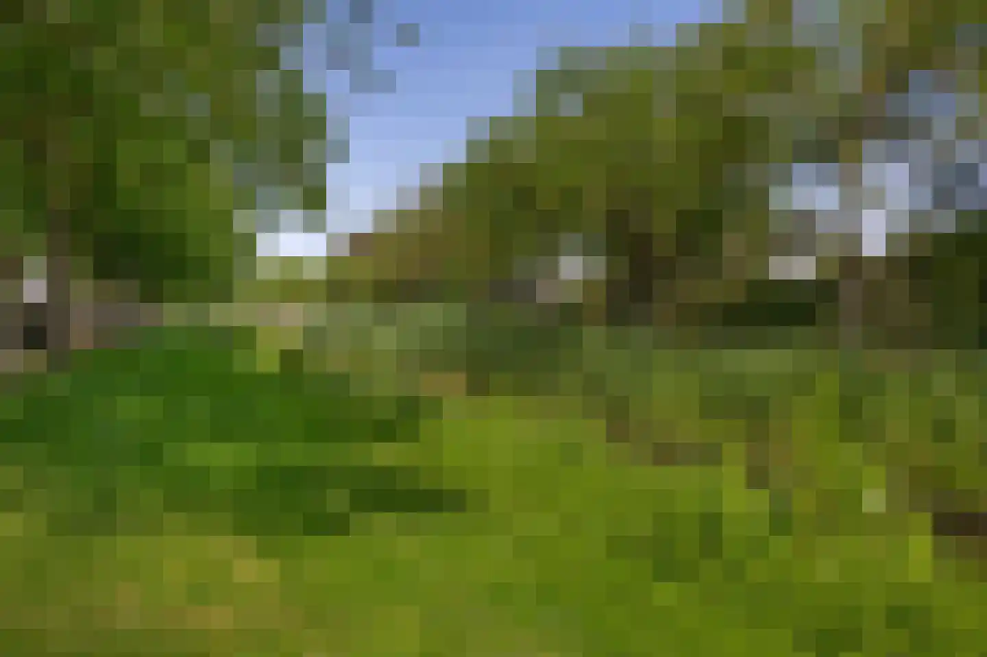 Jan Tooropstraat 73 Oud-Beijerland thumbnail 43