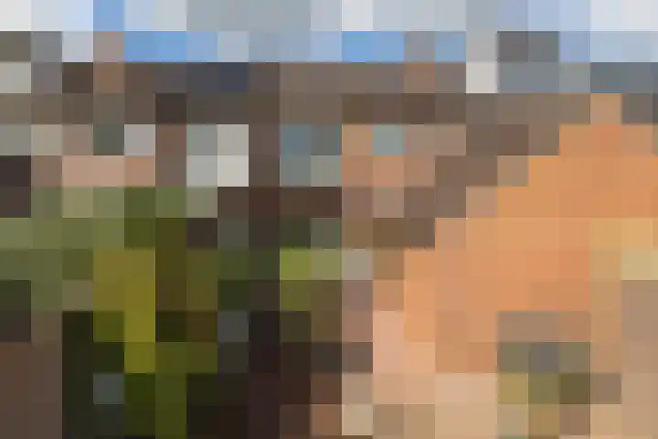 Jan Tooropstraat 8 Almelo thumbnail 11