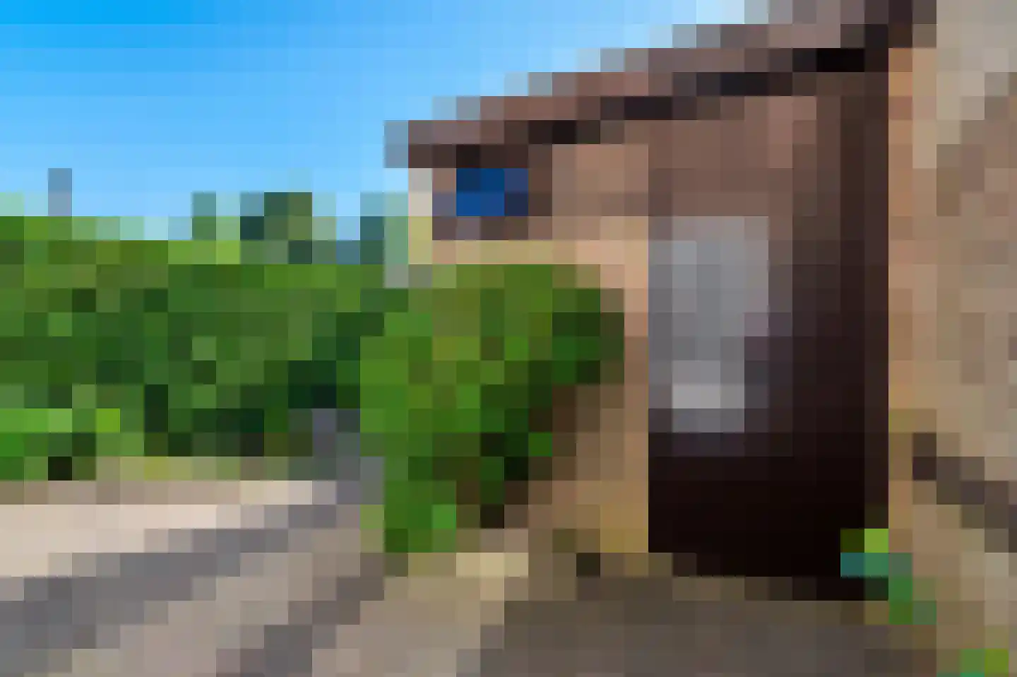 Jan Tooropstraat 8 Roosendaal thumbnail 17