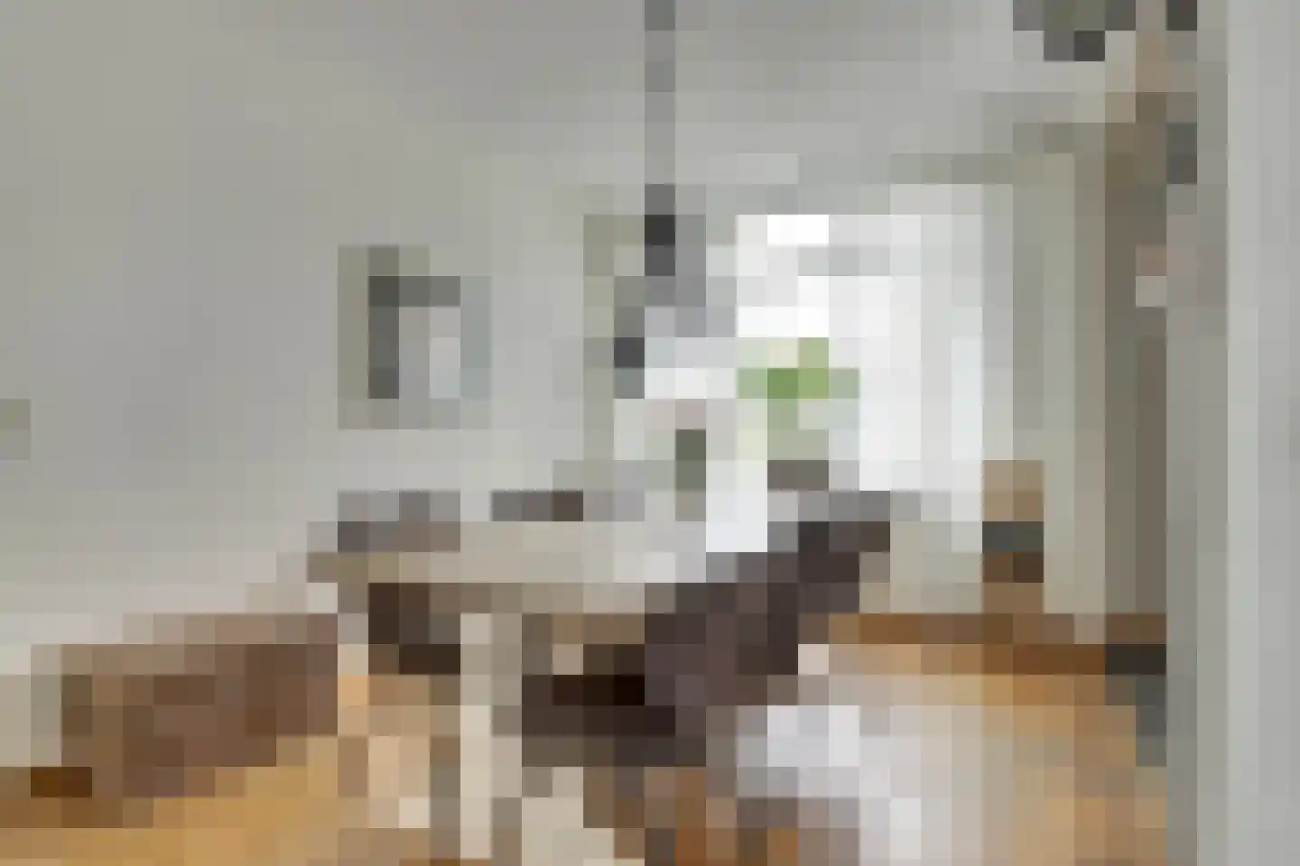 Jan Tooropstraat 90 Katwijk thumbnail 18