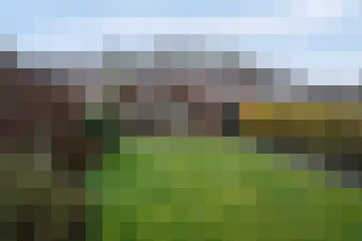 Jan Tooropstraat 98 Almelo thumbnail 17