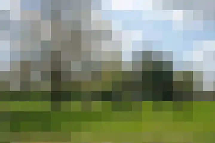 Jan Tooropstraat 98 Almelo thumbnail 21