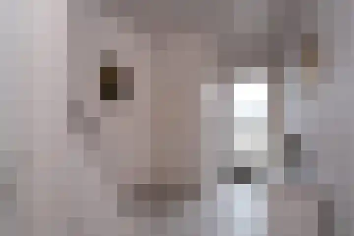 Jan Tooropstraat 98 Almelo thumbnail 4