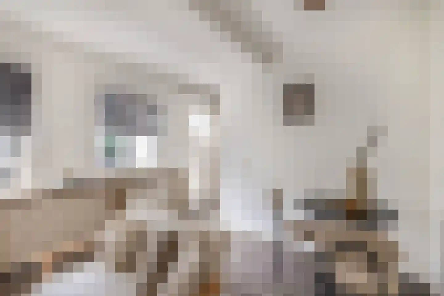 Jan Tooropstraat 98 Katwijk thumbnail 42
