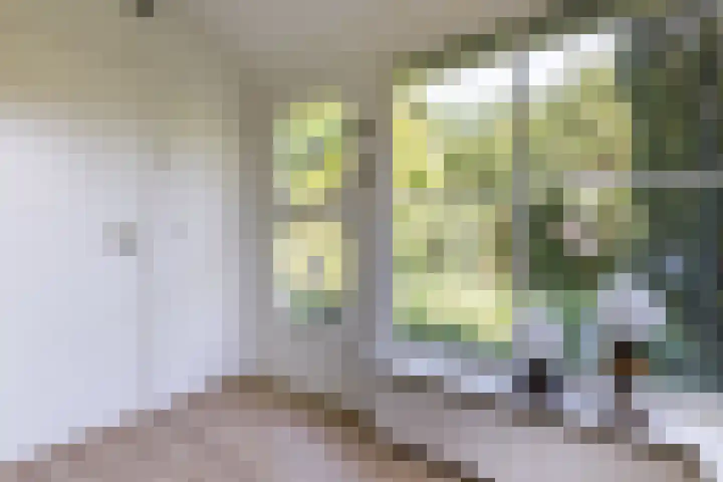 Jan Tooropweg 3 Bergen (NH) thumbnail 22