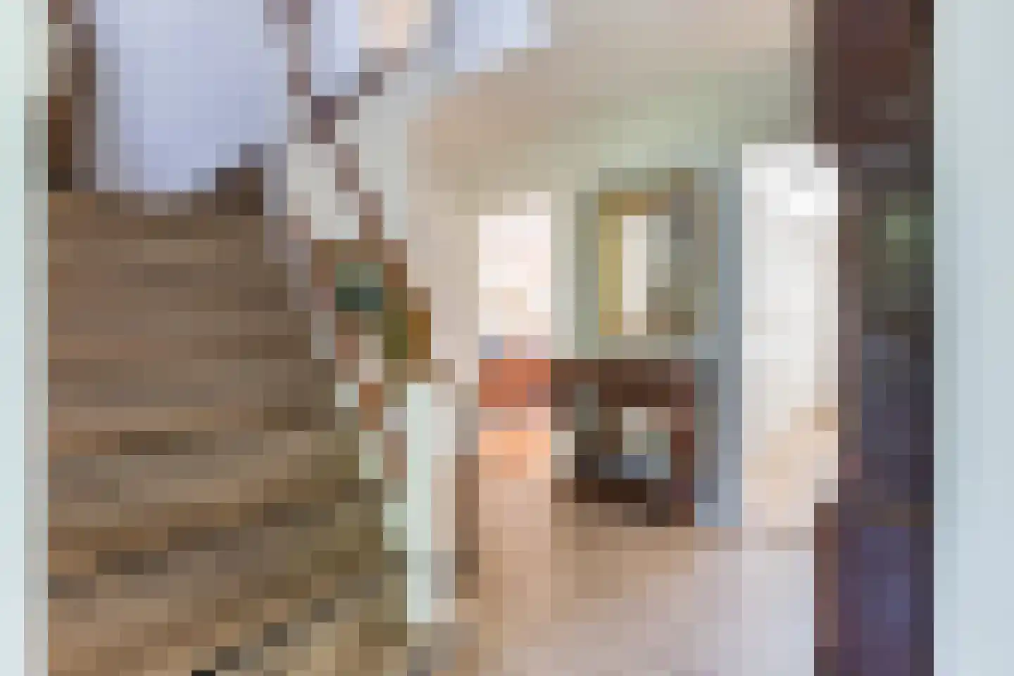 Jan Tooropweg 3 Bergen (NH) thumbnail 24