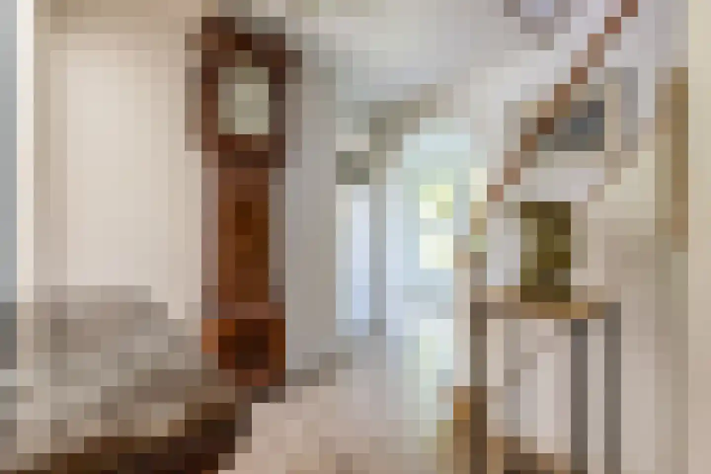 Jan Tooropweg 3 Bergen (NH) thumbnail 26