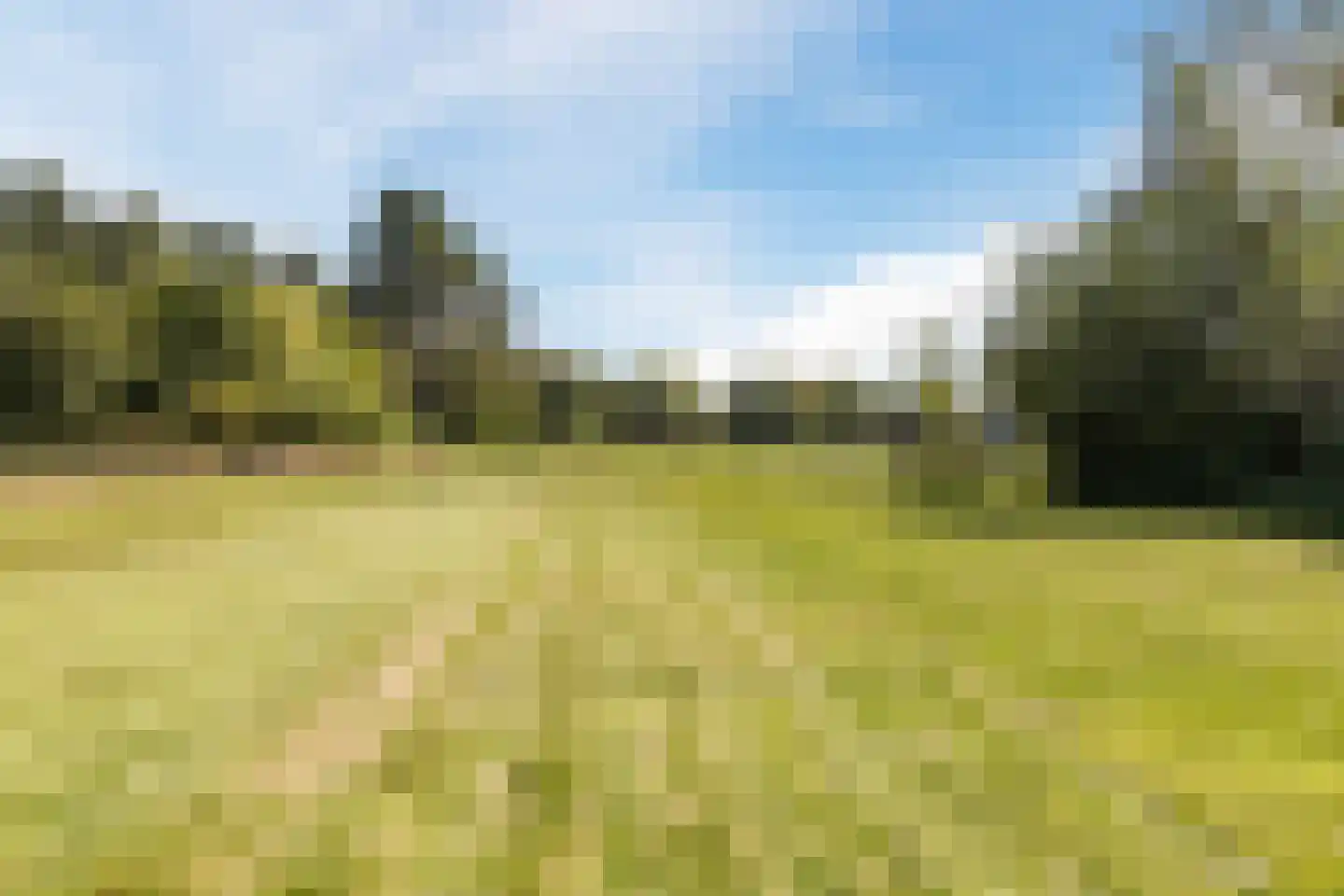 Jan Tooropweg 3 Bergen (NH) thumbnail 37