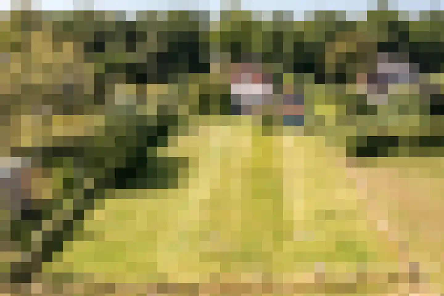 Jan Tooropweg 3 Bergen (NH) thumbnail 38