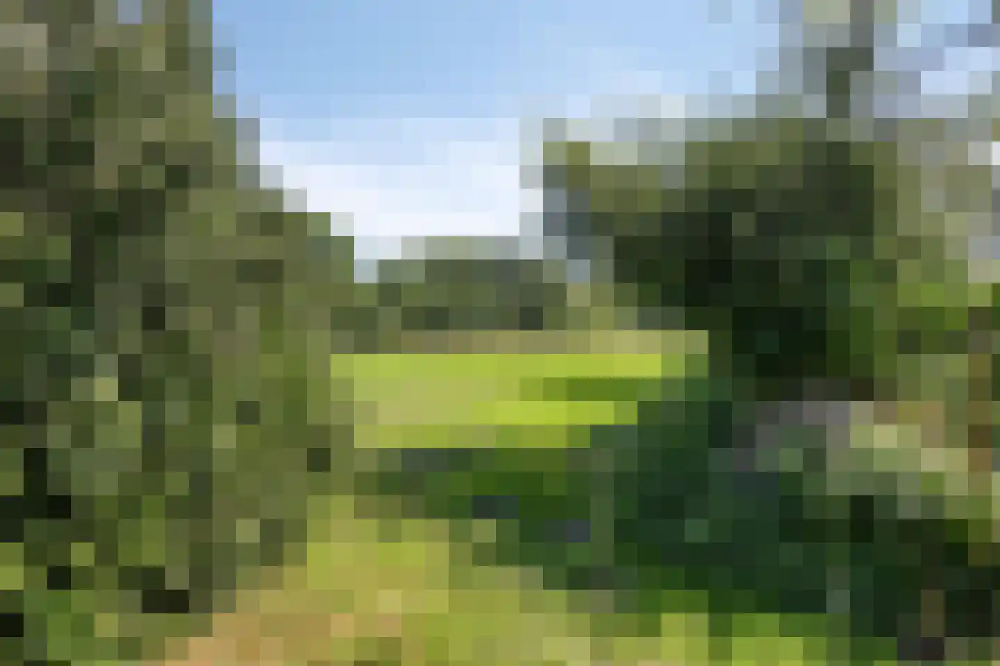 Jan Tooropweg 3 Bergen (NH) thumbnail 38