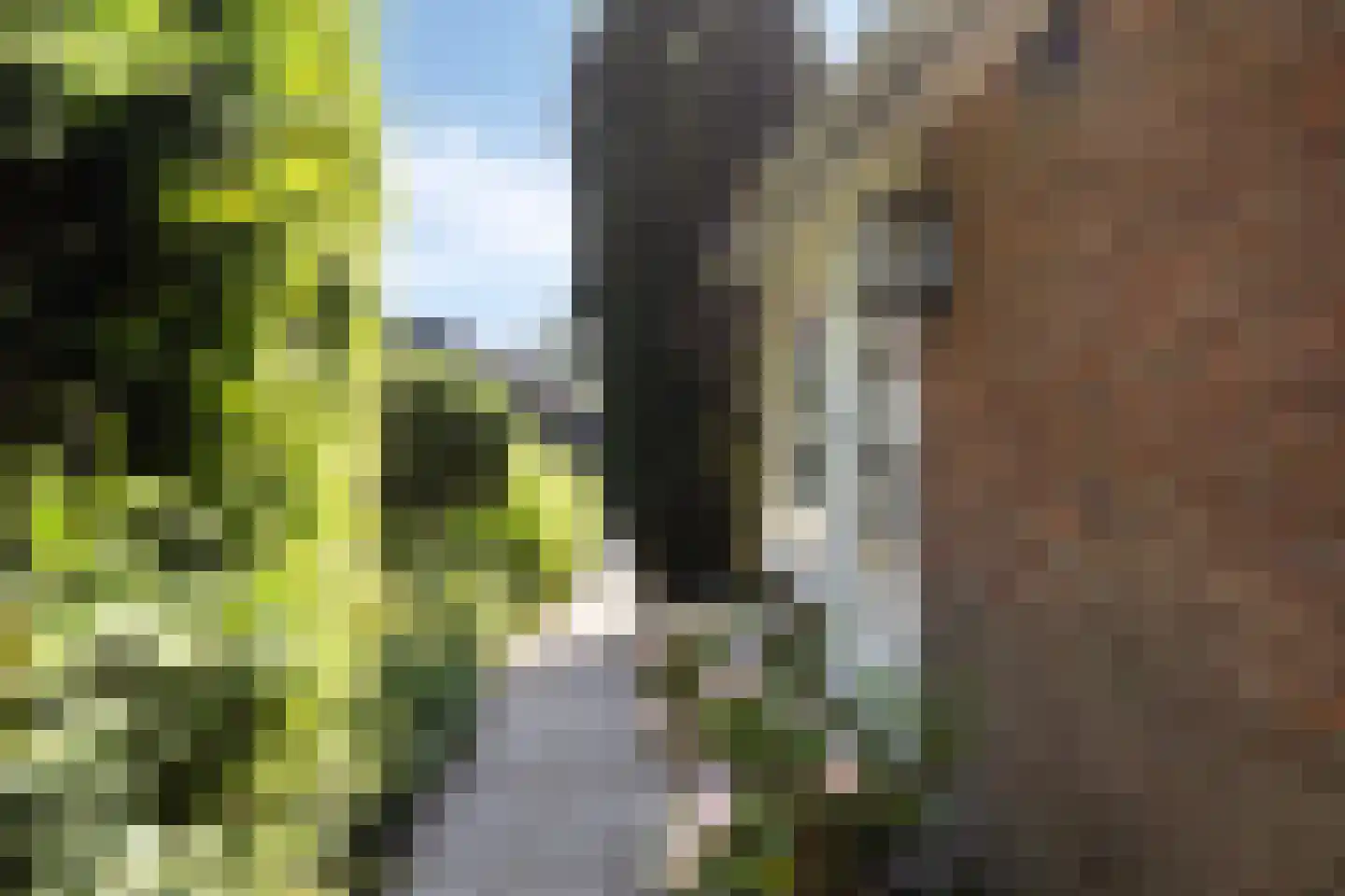 Jan Tooropweg 3 Bergen (NH) thumbnail 4
