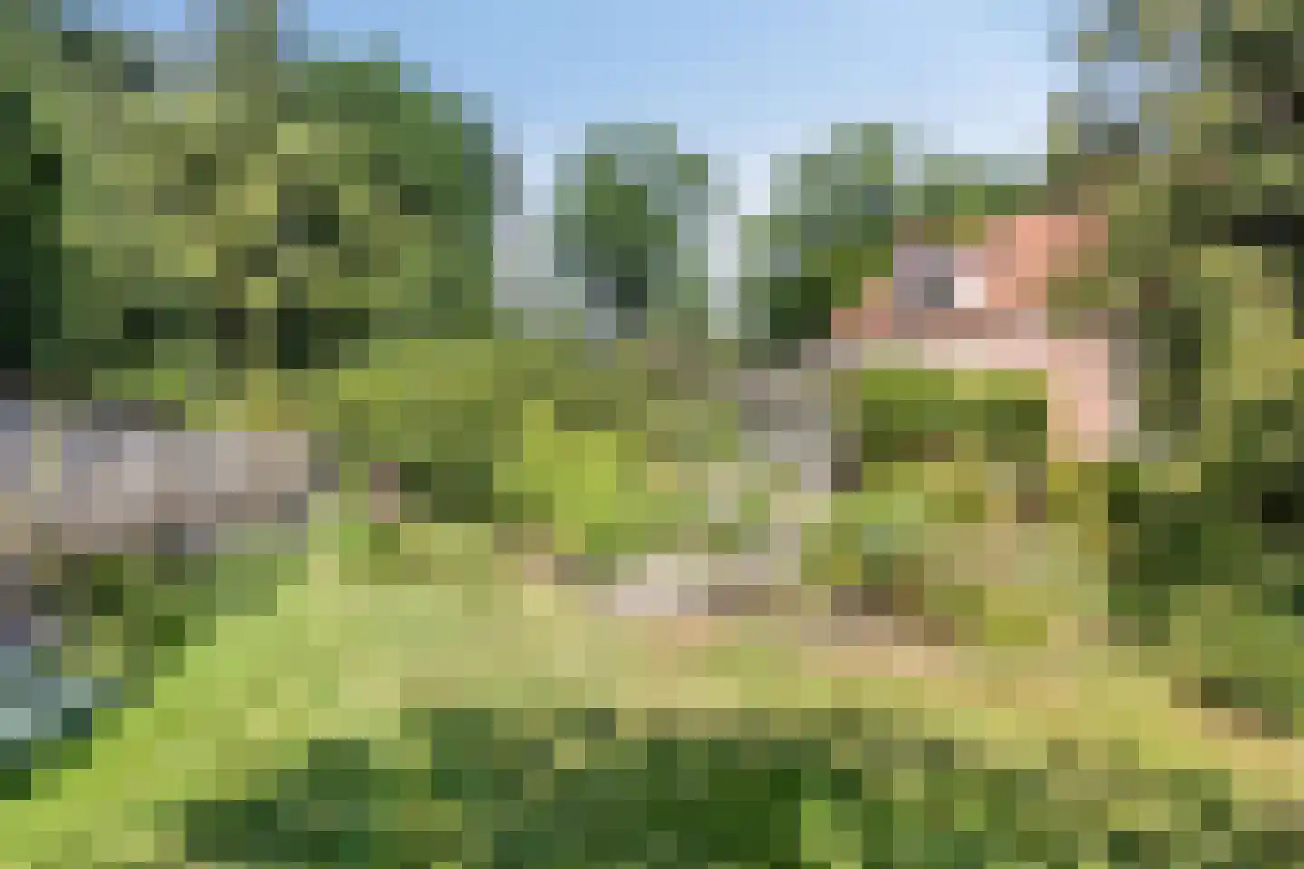 Jan Tooropweg 3 Bergen (NH) thumbnail 40