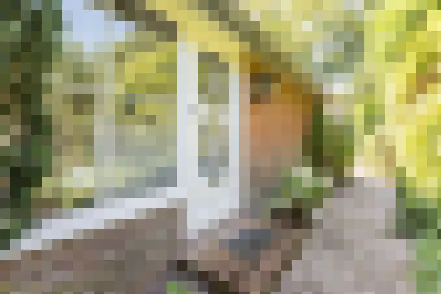 Jan Tooropweg 3 Bergen (NH) thumbnail 5