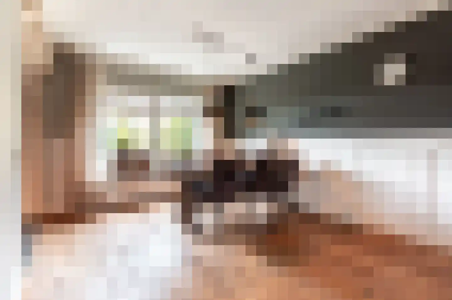 Jan Topweg 13 Nunspeet thumbnail 11