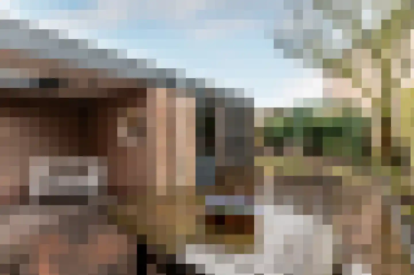 Jan Topweg 13 Nunspeet thumbnail 40
