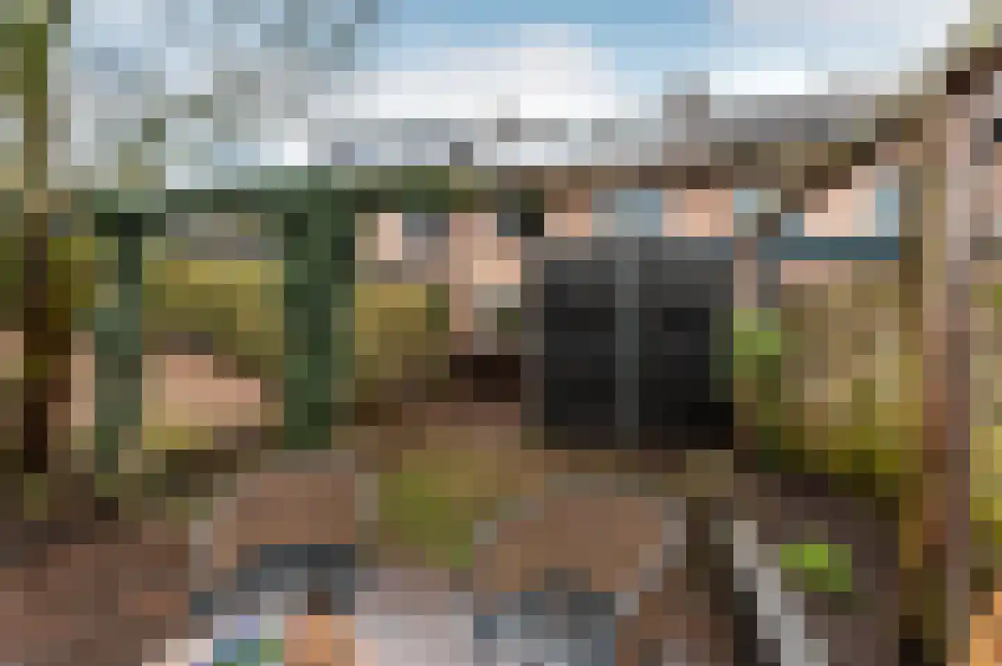 Jan Topweg 13 Nunspeet thumbnail 45