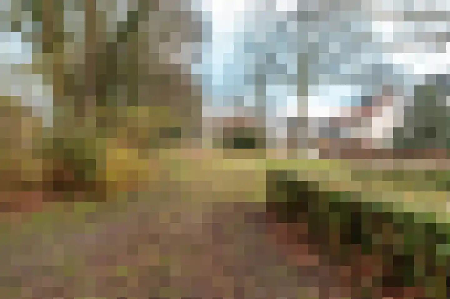 Jan Topweg 13 Nunspeet thumbnail 50