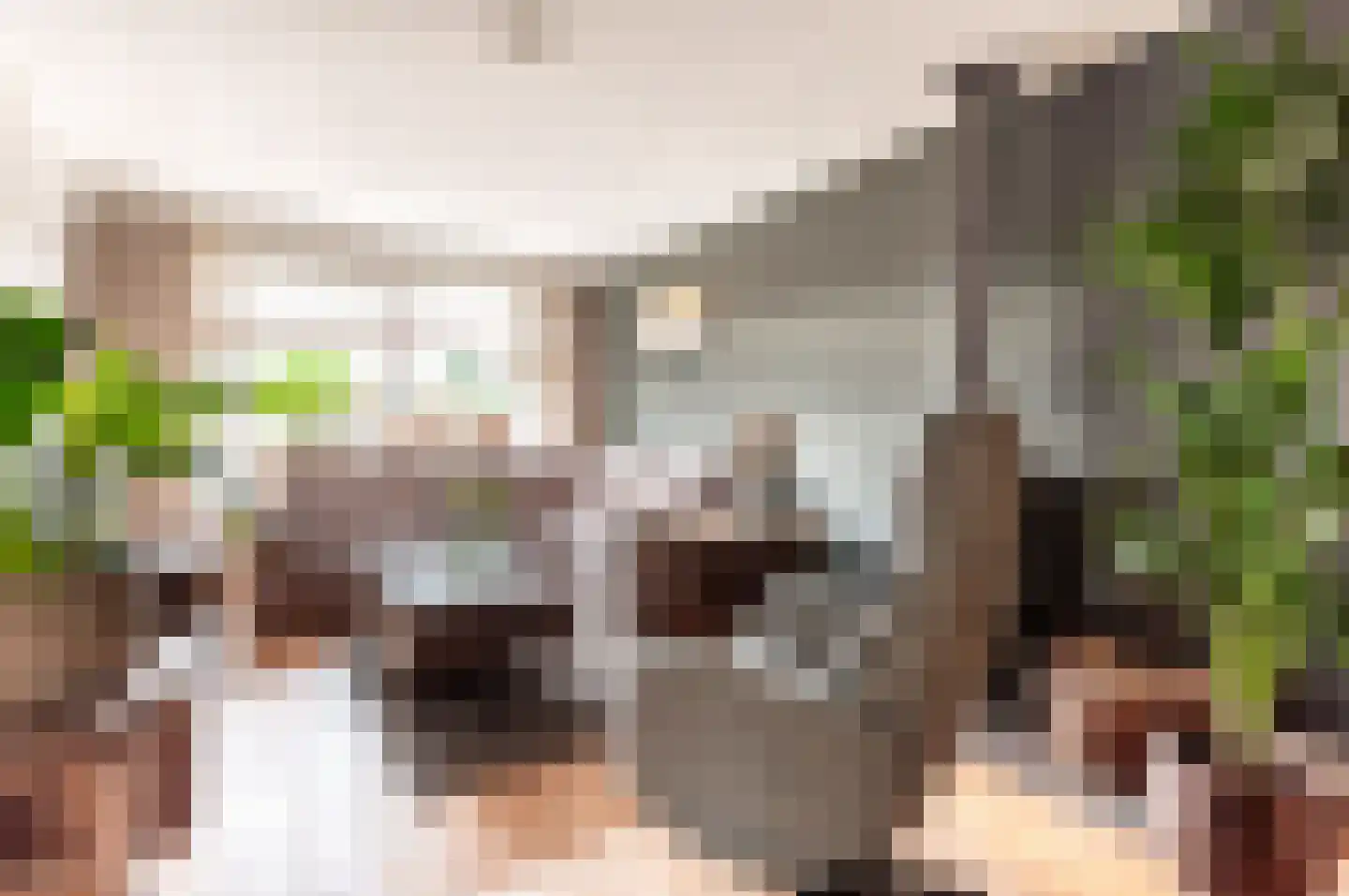 Jan Topweg 13 Nunspeet thumbnail 7