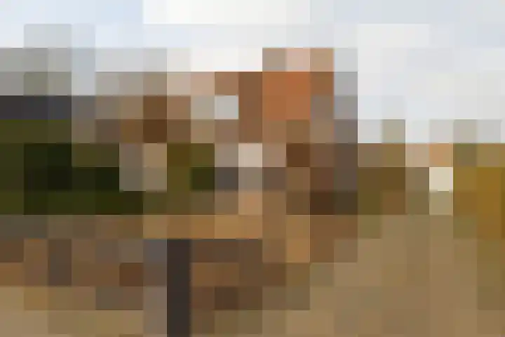 Jan Topweg 14 en Nunspeet
