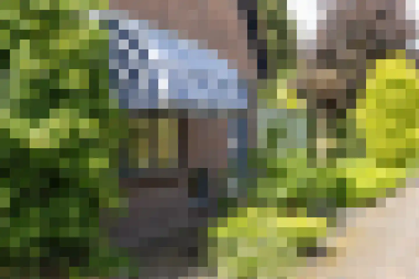 Jan Topweg 14 Nunspeet thumbnail 12