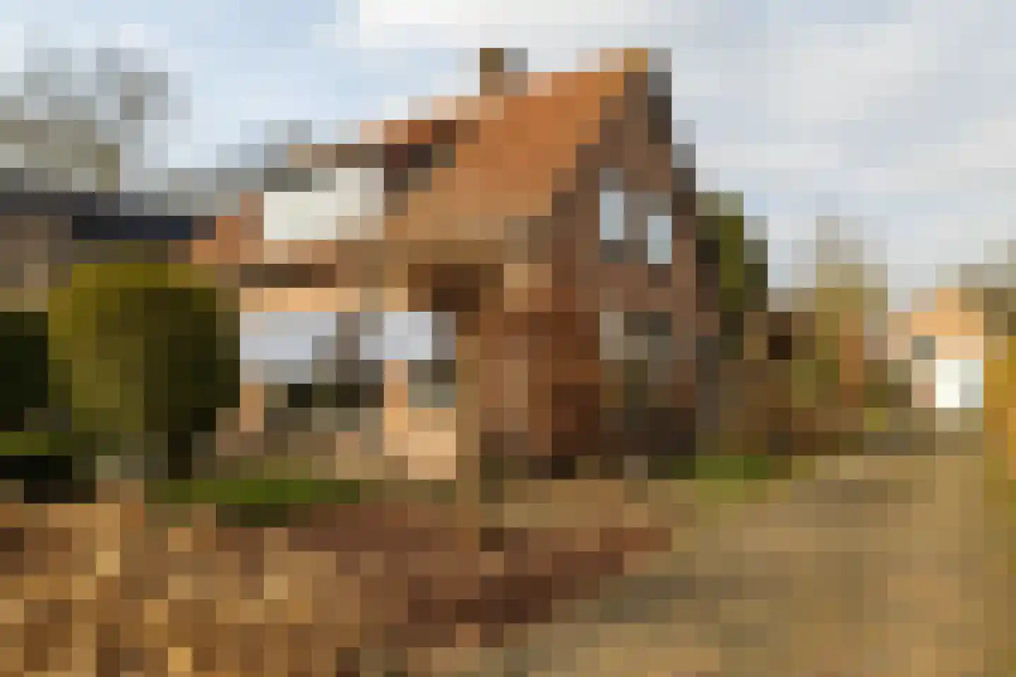 Jan Topweg 14 Nunspeet thumbnail 13