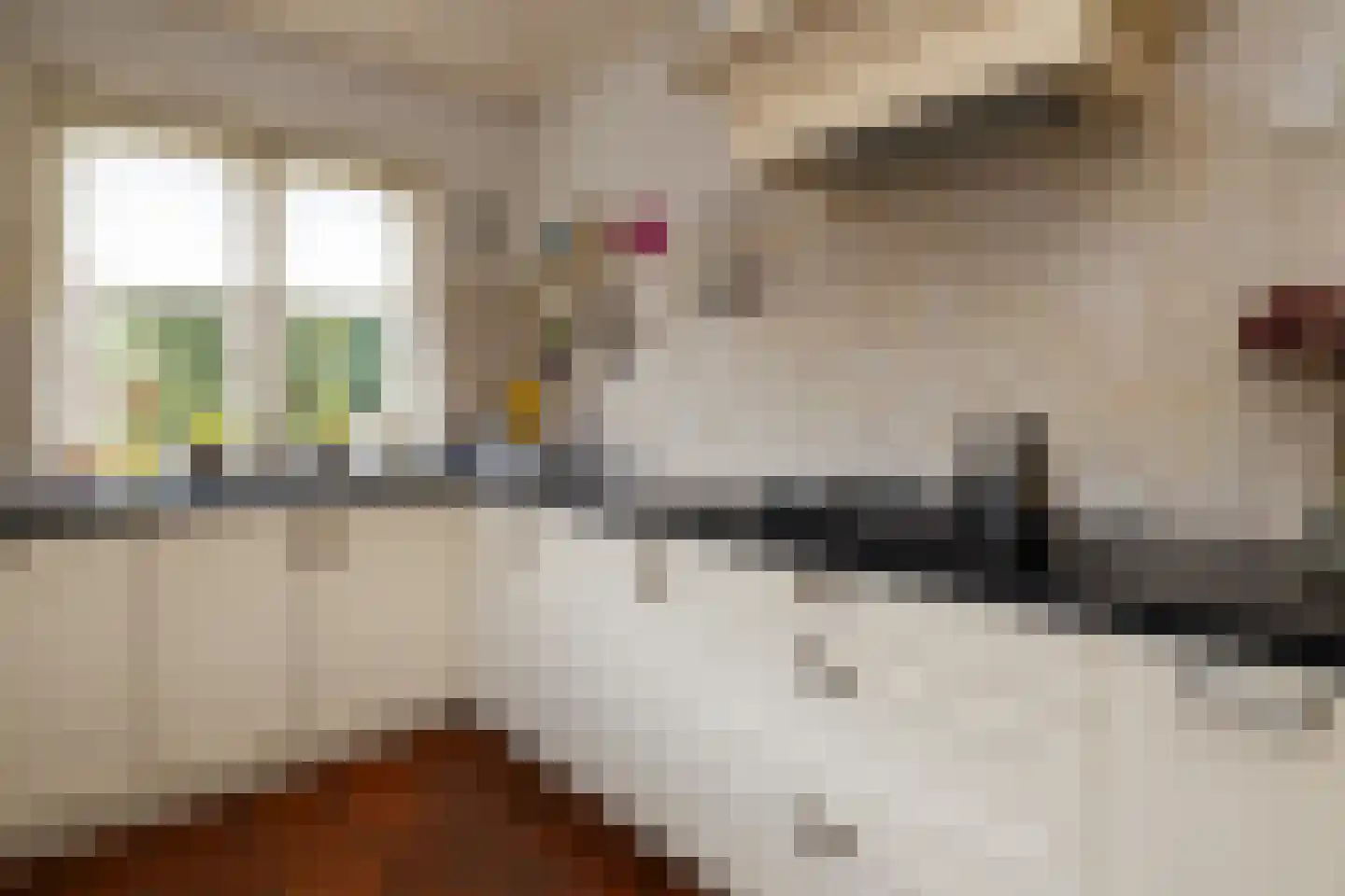 Jan Topweg 14 Nunspeet thumbnail 22