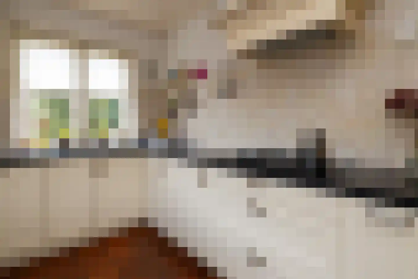 Jan Topweg 14 Nunspeet thumbnail 24
