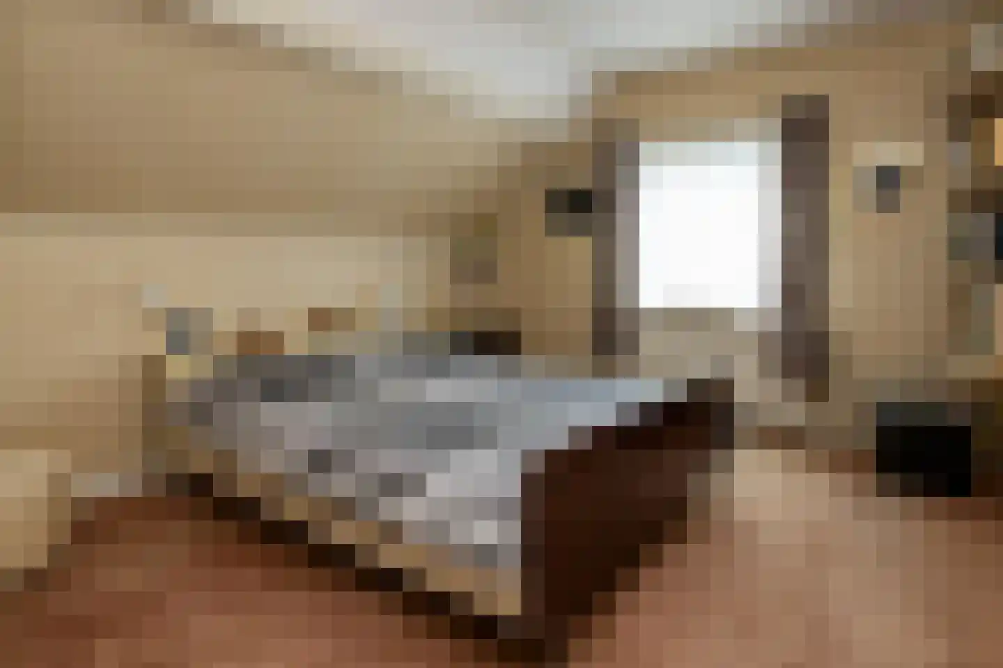Jan Topweg 14 Nunspeet thumbnail 32
