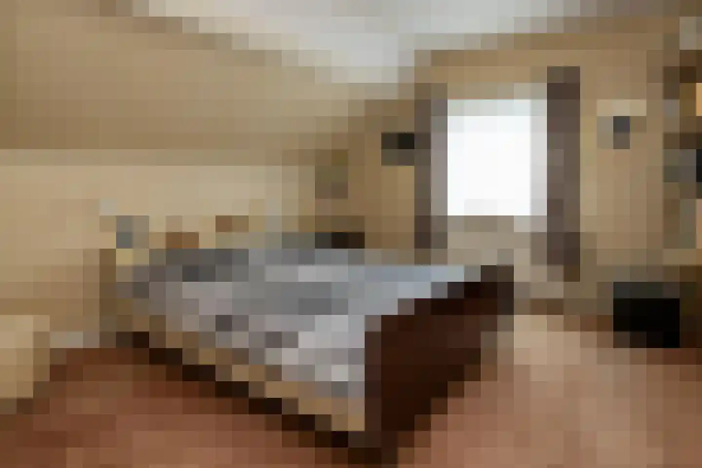 Jan Topweg 14 Nunspeet thumbnail 34