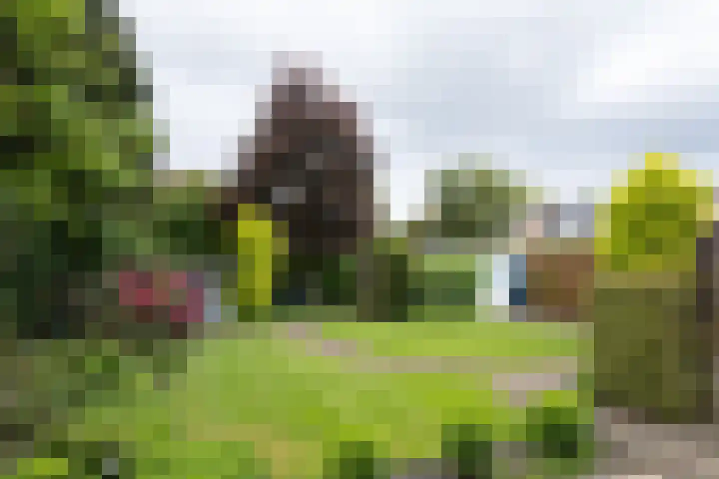 Jan Topweg 14 Nunspeet thumbnail 37