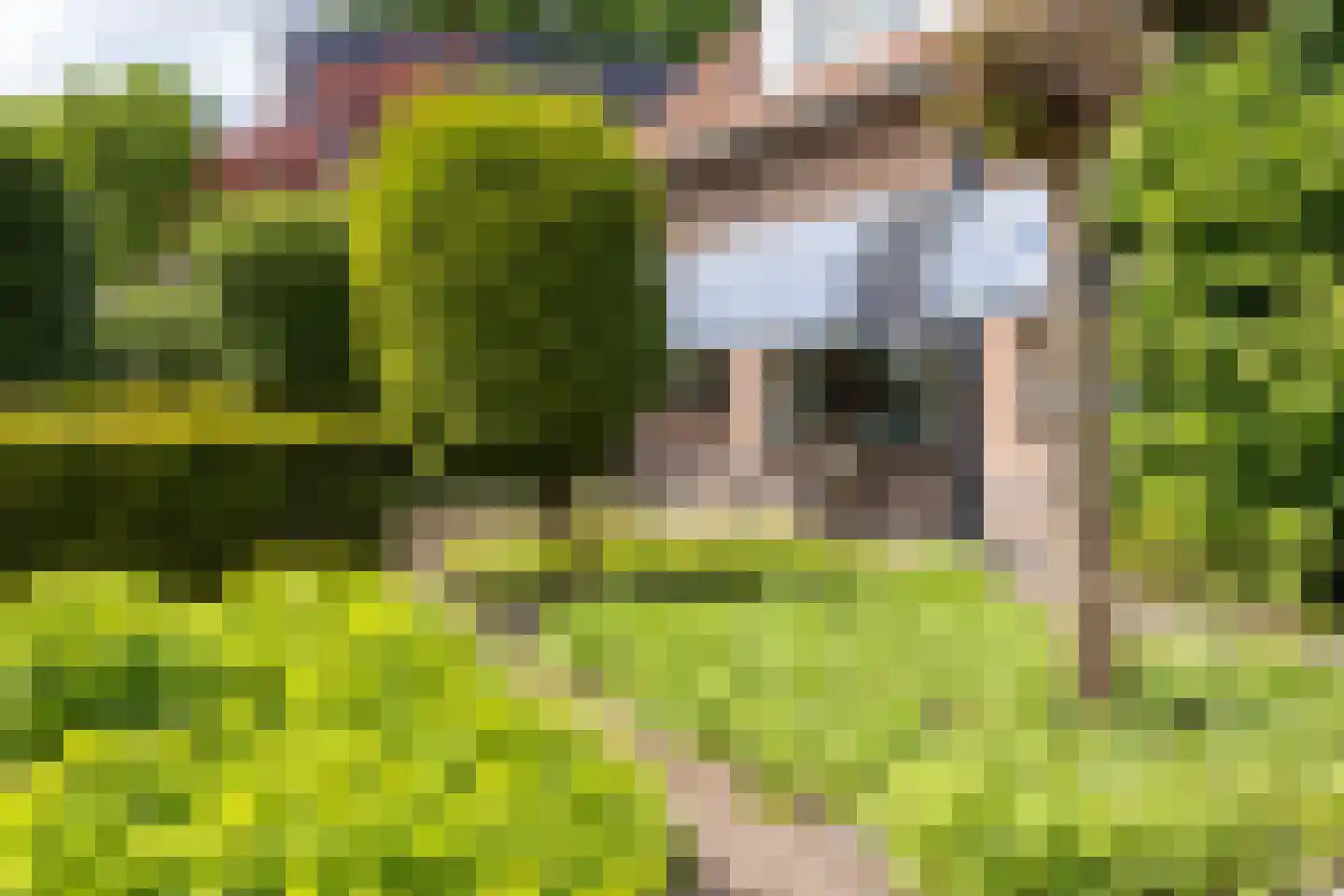 Jan Topweg 14 Nunspeet thumbnail 5