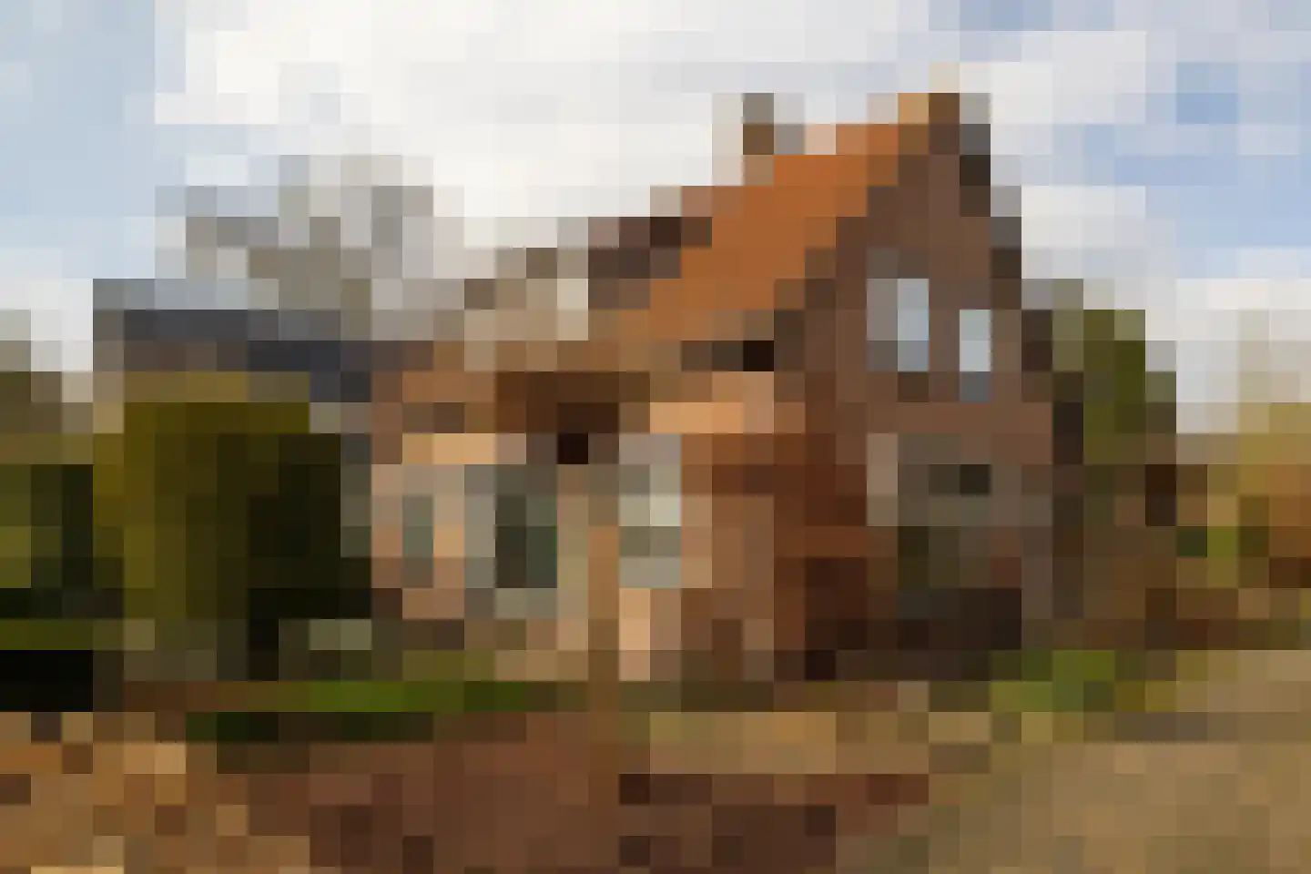 Jan Topweg 14 Nunspeet thumbnail 6