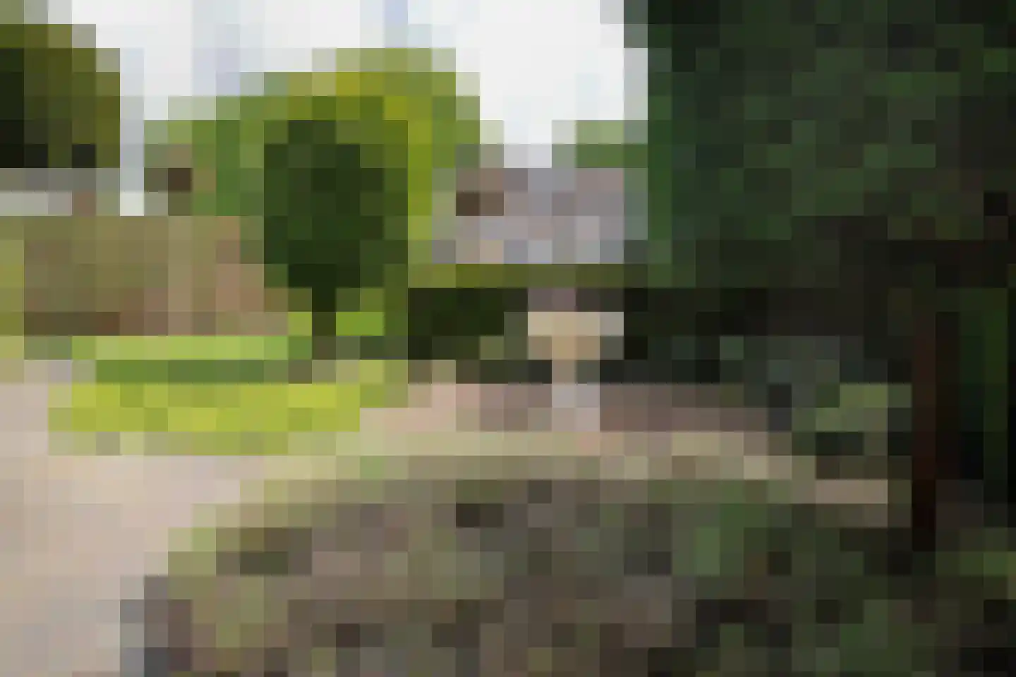 Jan Topweg 14 Nunspeet thumbnail 6