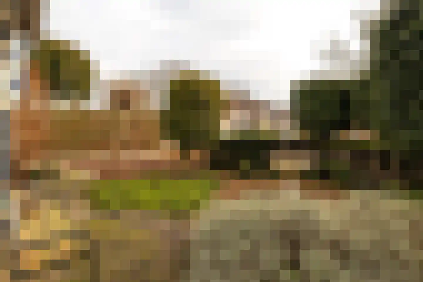 Jan Topweg 14 Nunspeet thumbnail 7