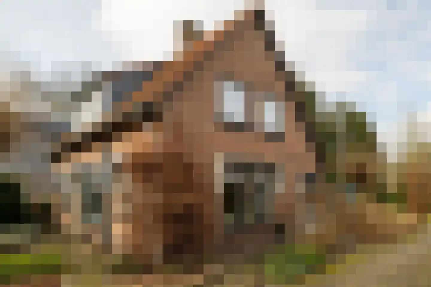 Jan Topweg 14 Nunspeet thumbnail 8
