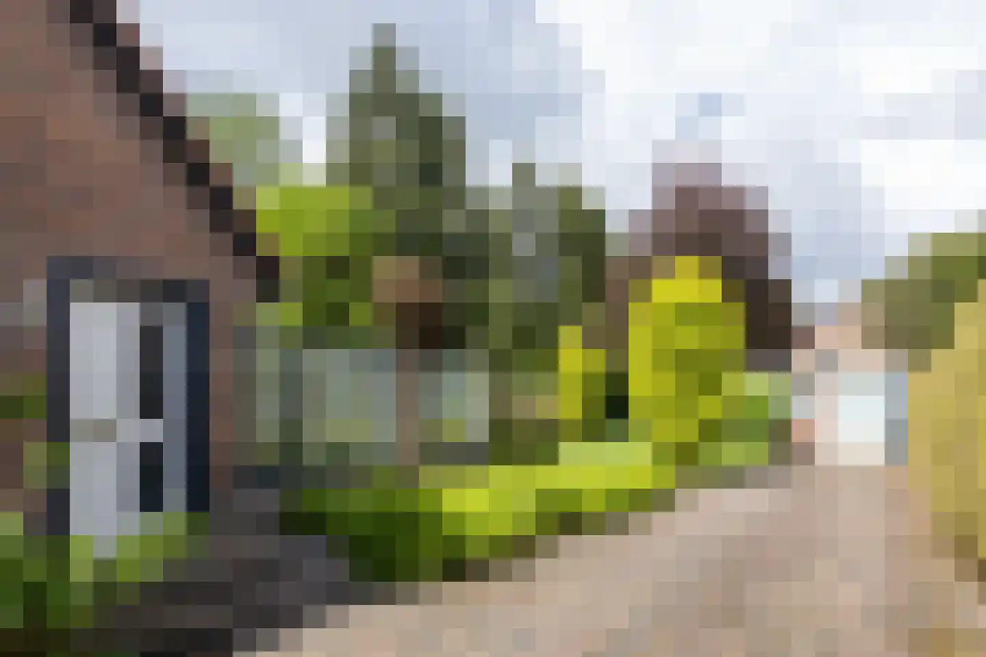 Jan Topweg 14 Nunspeet thumbnail 8