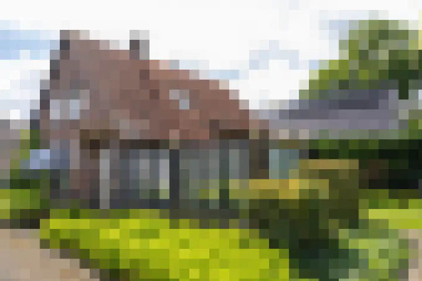 Jan Topweg 14 Nunspeet thumbnail 9