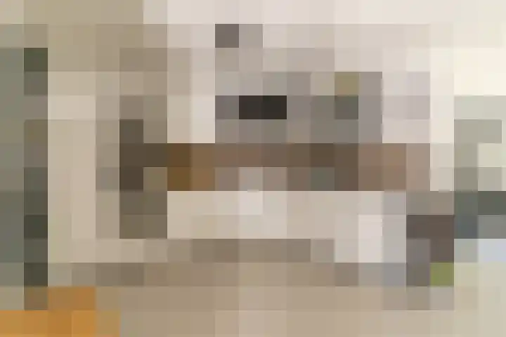 Jan Topweg 19 Nunspeet thumbnail 14