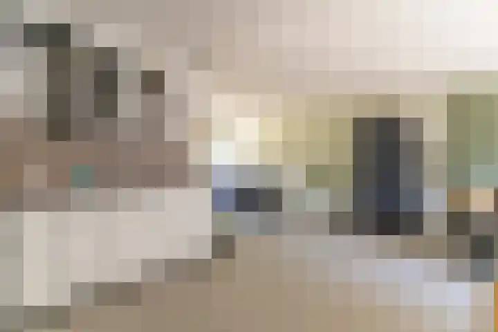 Jan Topweg 19 Nunspeet thumbnail 16