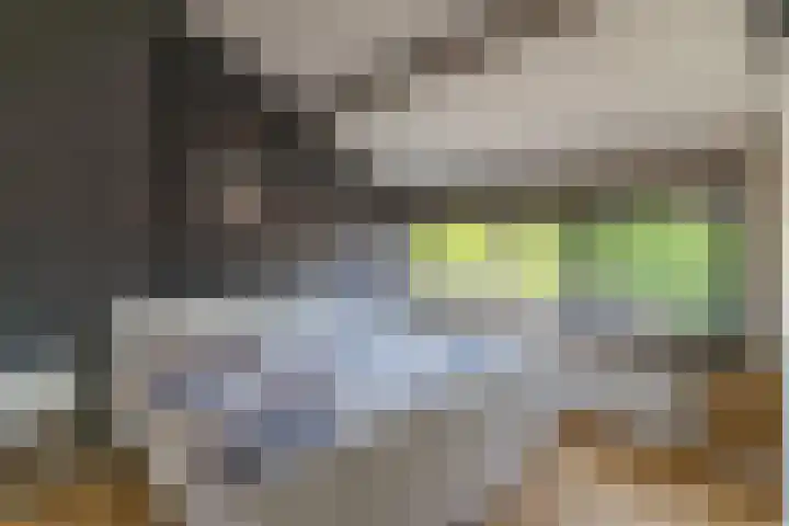 Jan Topweg 19 Nunspeet thumbnail 19