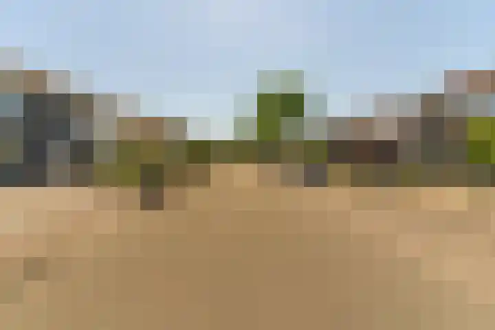 Jan Topweg 19 Nunspeet thumbnail 38