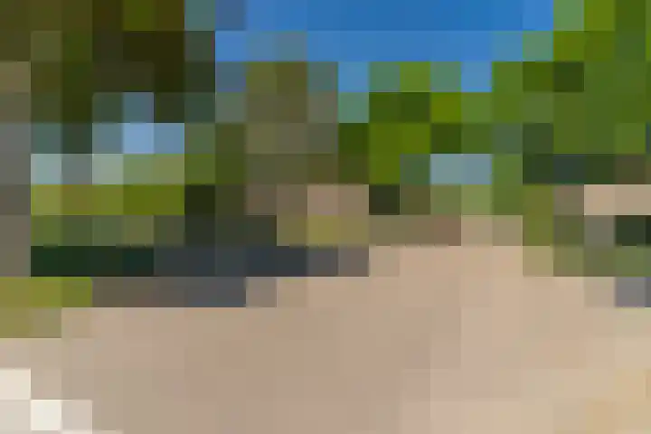 Jan Topweg 19 Nunspeet thumbnail 39