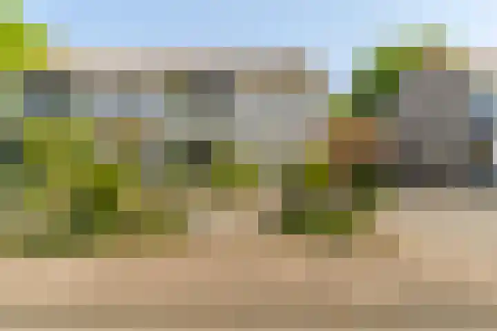 Jan Topweg 19 Nunspeet thumbnail 4