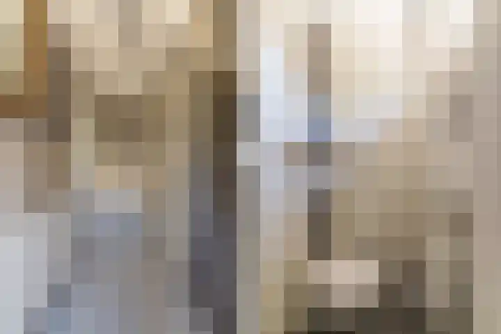Jan Topweg 19 Nunspeet thumbnail 5