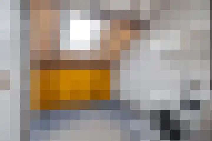 Jan Topweg 7 Nunspeet thumbnail 30