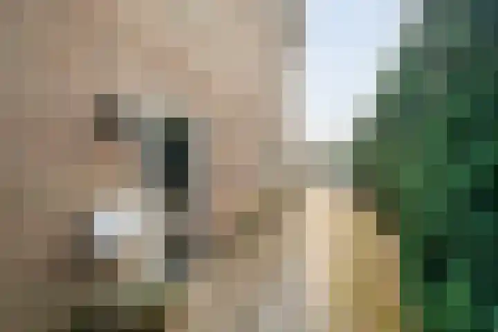 Jan Topweg 7 Nunspeet thumbnail 36