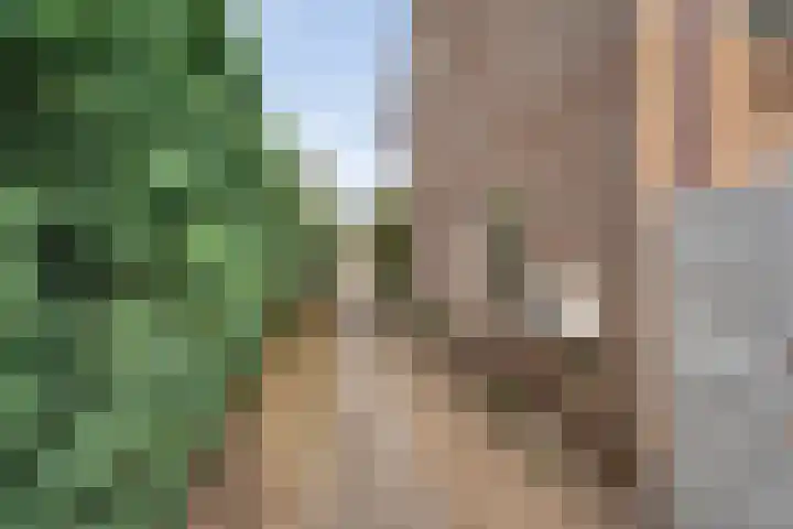 Jan Topweg 7 Nunspeet thumbnail 37