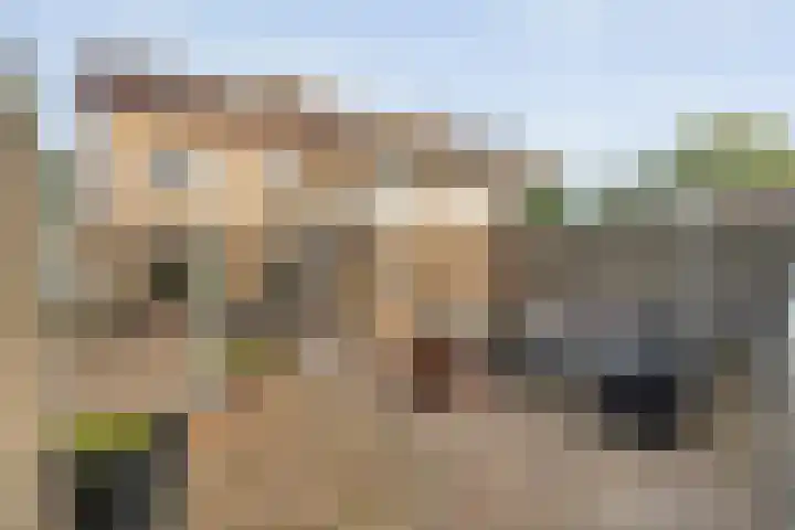 Jan Topweg 7 Nunspeet thumbnail 40