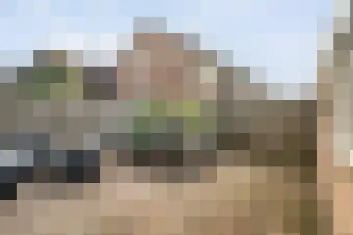 Jan Topweg 7 Nunspeet thumbnail 42